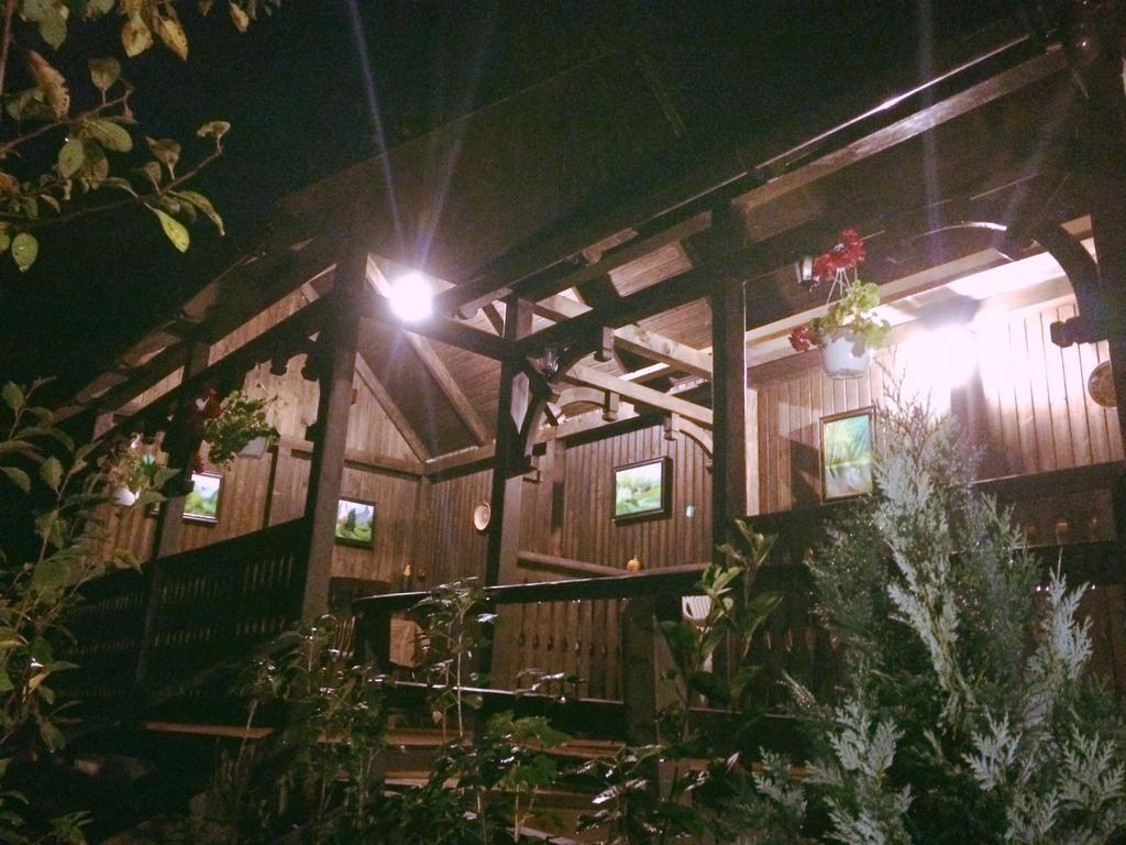 锡吉什瓦拉 Casa Cu Cerdac酒店 外观 照片